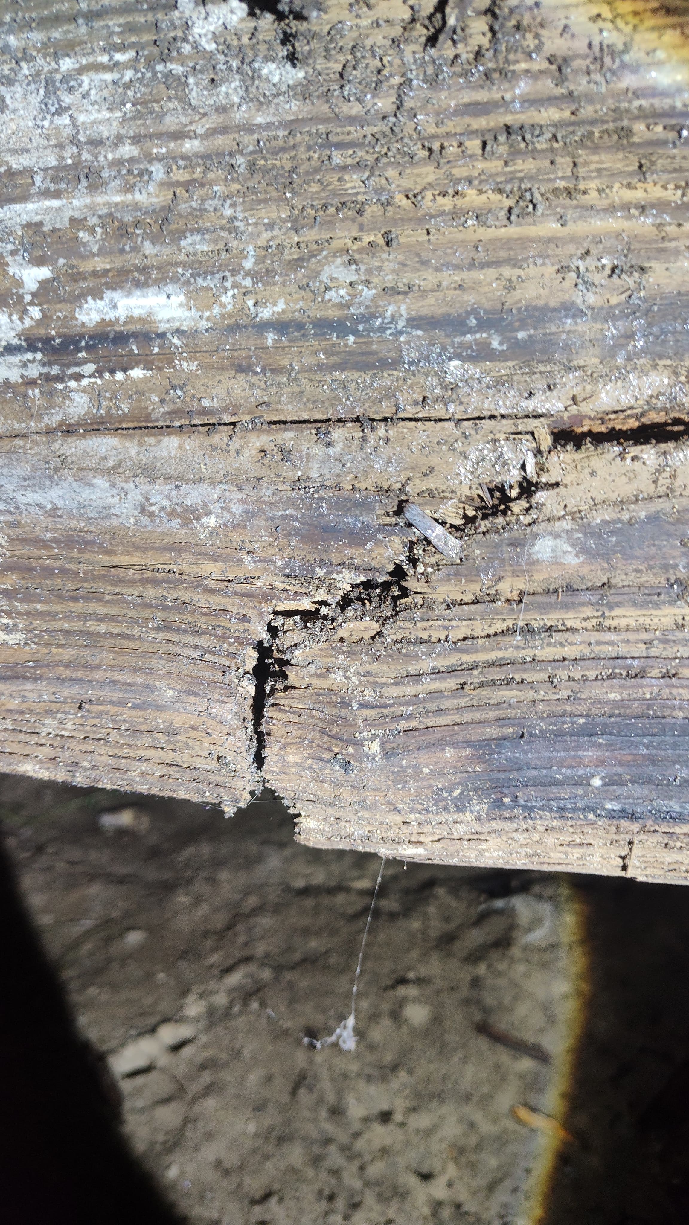 Water Damage Restoration