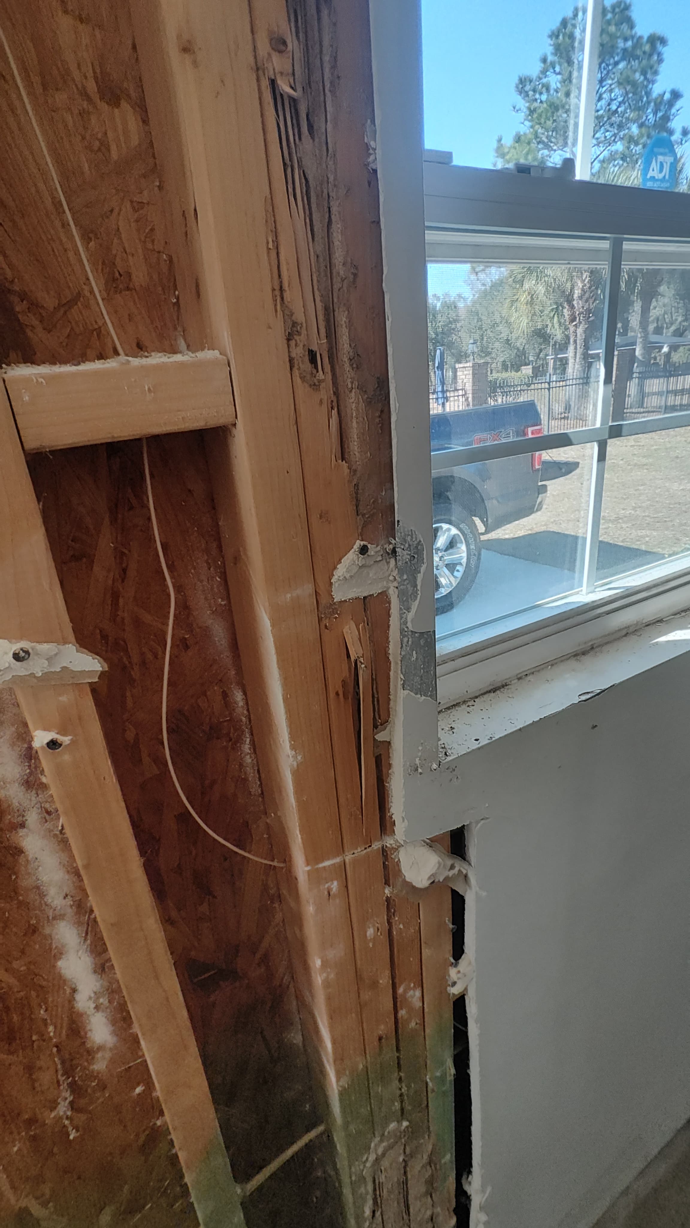 Termite Damage Repair & Structural Renovation